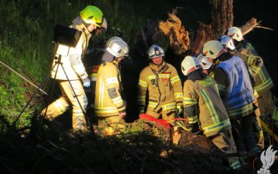 Vollprobe Forstunfall