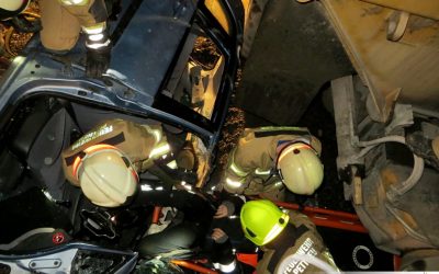 Monatsübung November