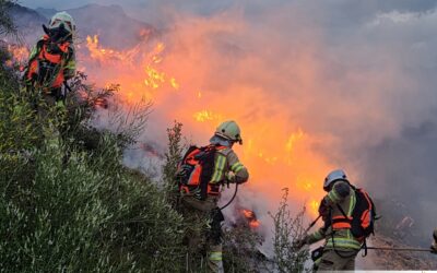 Schulung zur Wald- und Vegetationsbrandbekämpfung in St. Anton